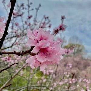 Meet your Posher, Kasey